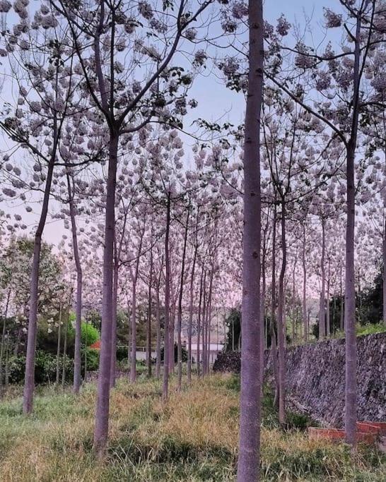La Caseta De Rotova - Casa Rural Para Desconectar Exteriér fotografie