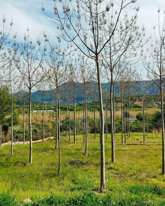 La Caseta De Rotova - Casa Rural Para Desconectar Exteriér fotografie